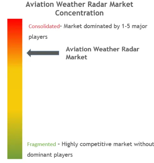 Aviation Weather Radar Market Concentration